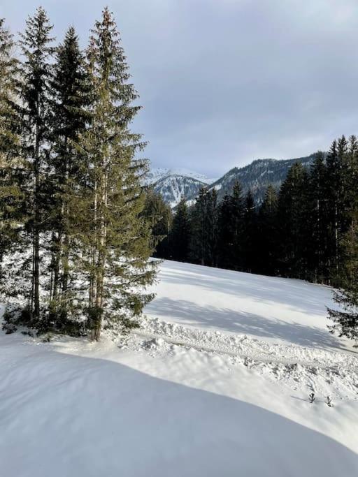 Alpenurlaub II Wohnung Mit Traumausblick Bad Mitterndorf Exterior photo